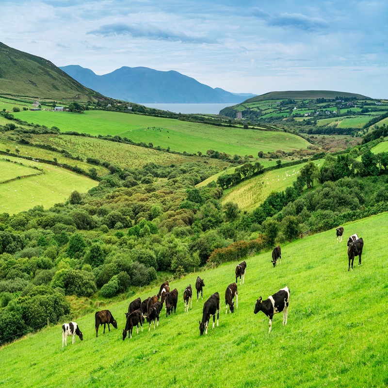 Beautiful Irish Landscape
