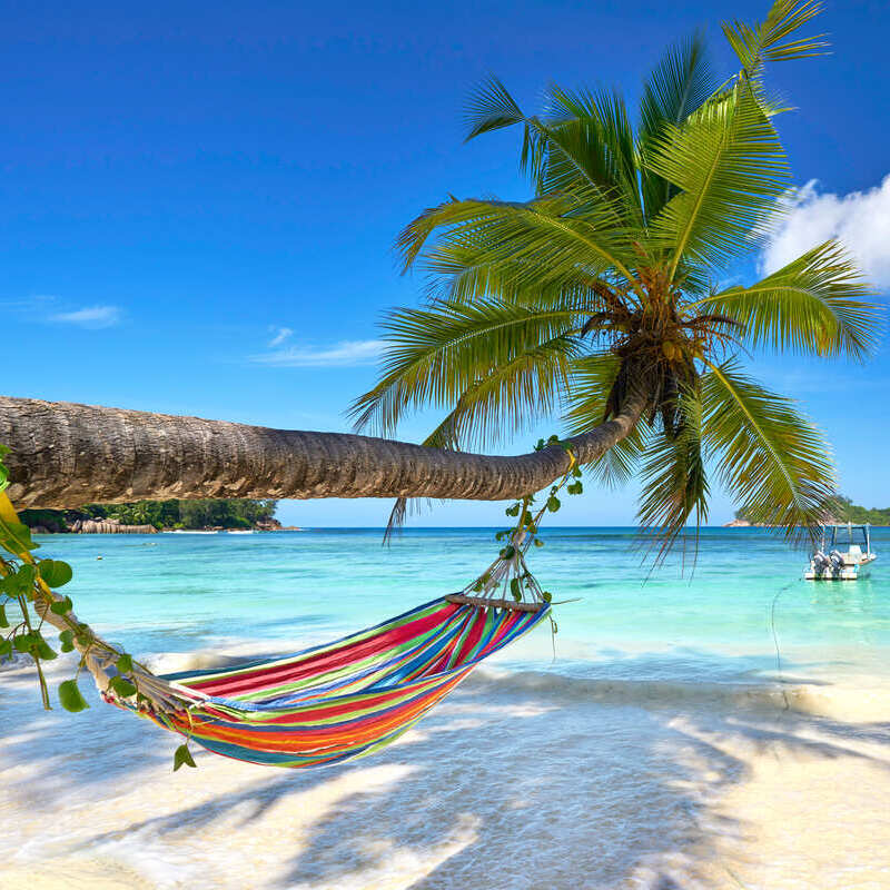 Hammock Tied To The Trunk Of A Palm Tree On A Sandy Beach Facing The Indian Ocean In Seychelles, Africa