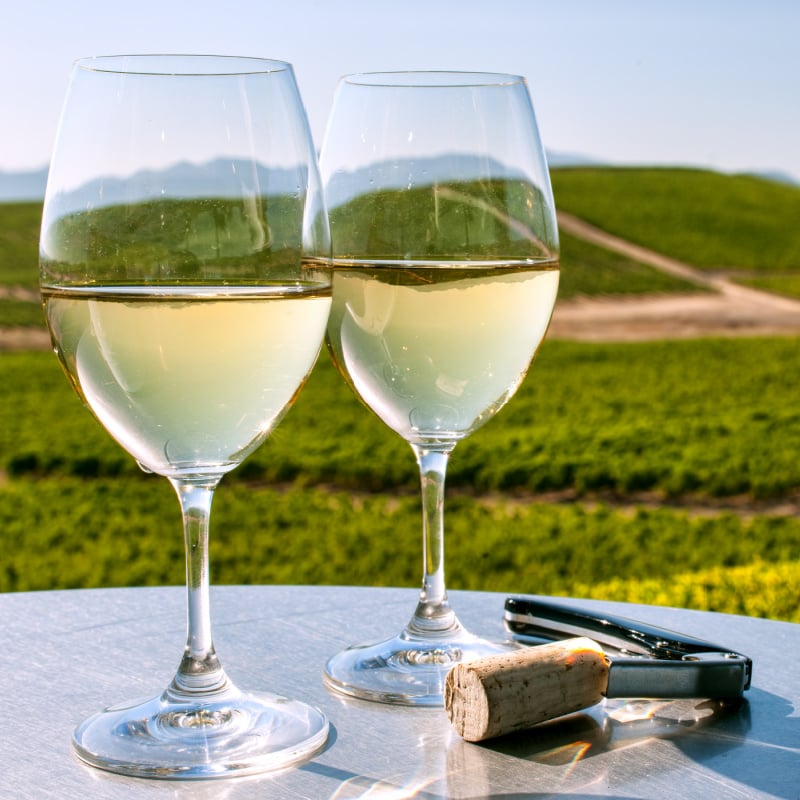 two glasses of white wine at a winery in napa valley california