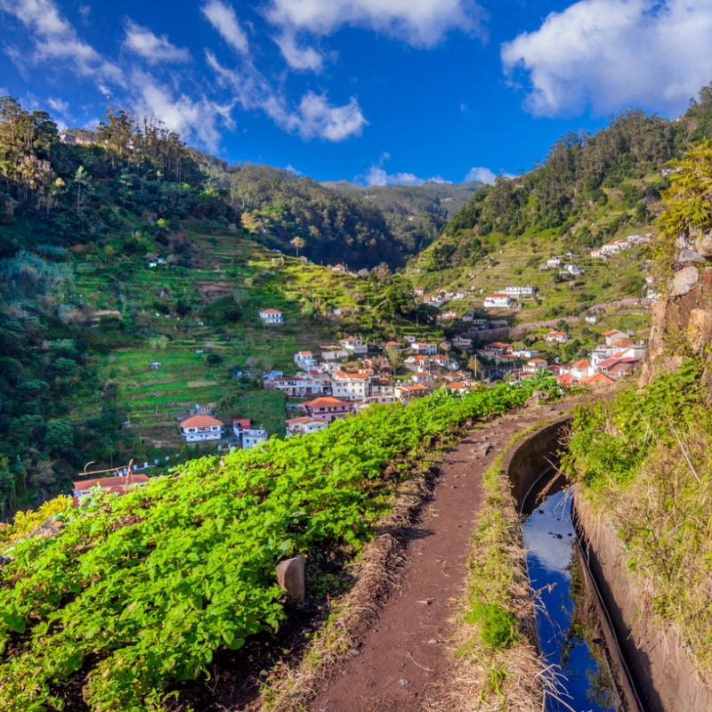 walking trail in madeira