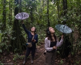 Rainforest Expeditions Receives Recognition for Sustainability Initiative
